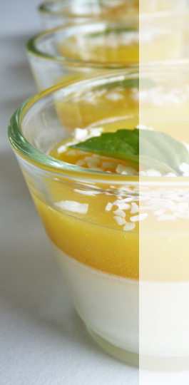 Kokos Pana Cotta